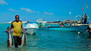 Fisheries Governance Review